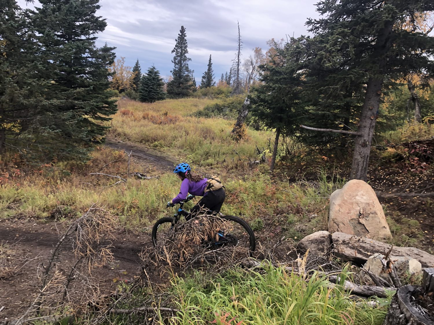 Mountain biking a singletrack trail through spruce and autumn brush